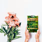 Perfecta Mask Peel off (2 unid. x 5ml) - Miniatura 2