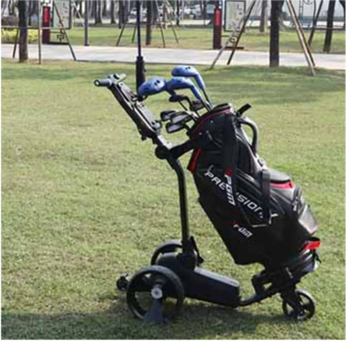 Carro de Golf Eléctrico 2