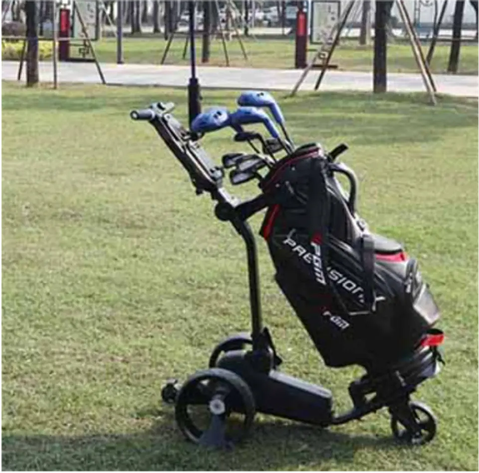 Carro de Golf Eléctrico 2