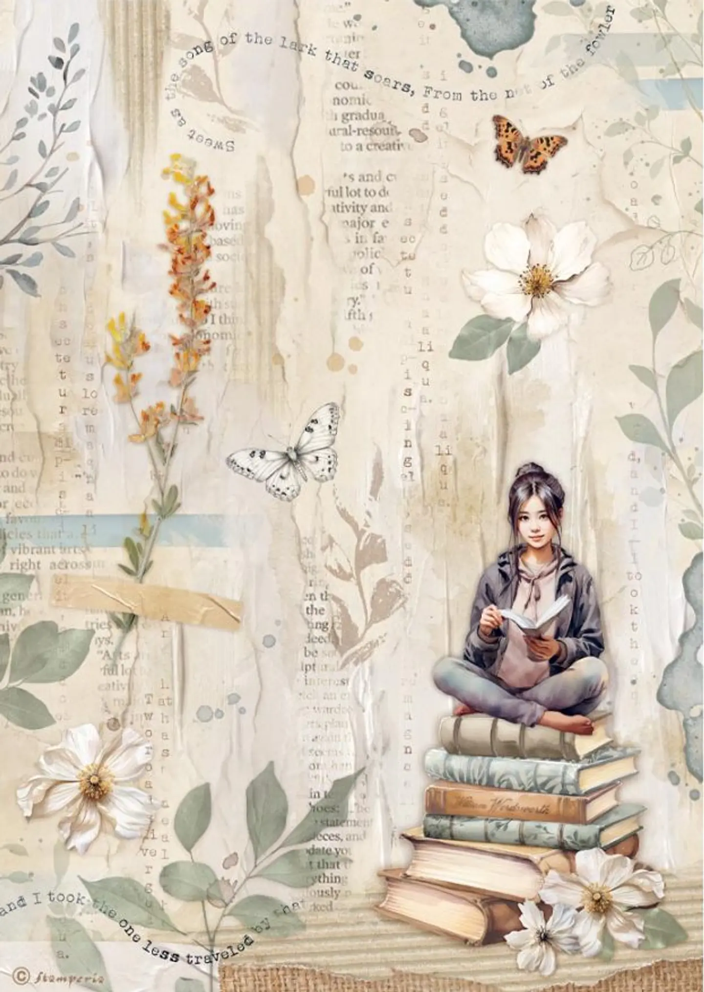 Papel de arroz Stamperia A4 — Secret Diary — Books (DFSA41104) 1