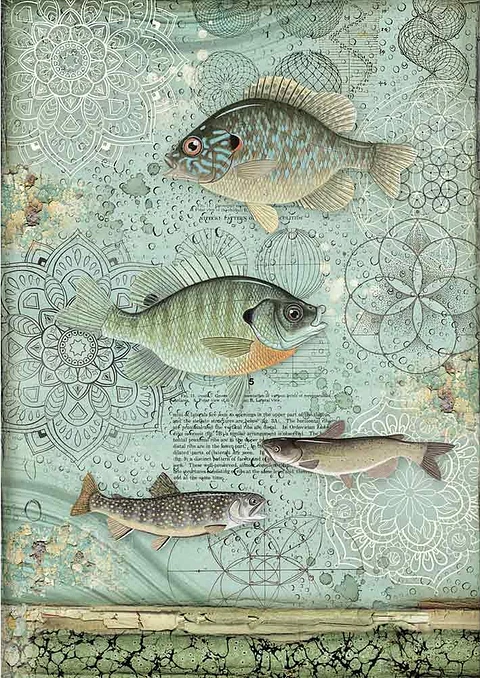 Papel de arroz Stamperia A4 — Forest — Fish (DFSA4428)