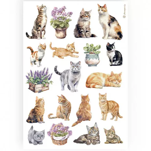 Papel de arroz Stamperia A4 — Cats (DFSA4887)
