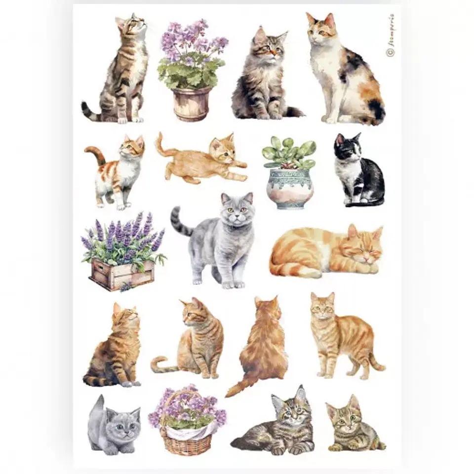 Papel de arroz Stamperia A4 — Cats (DFSA4887) 1