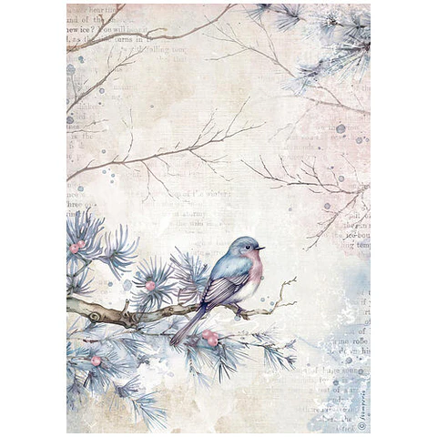 Papel de arroz Stamperia A4 — Create Happiness Dewdrops — Bird