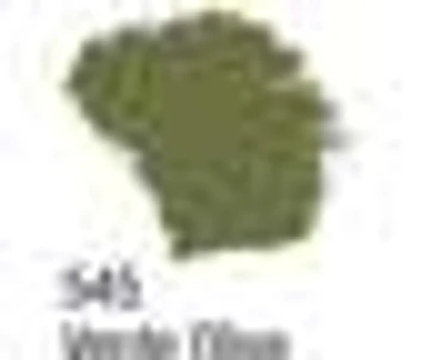 Tinta Acrilex — Verde Musgo (60 ml) 1