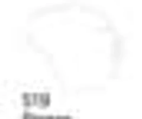 Tinta Acrilex — Branco (60 ml)