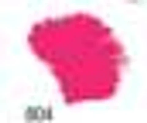 Tinta Acrilex — Fuchsia (60 ml)