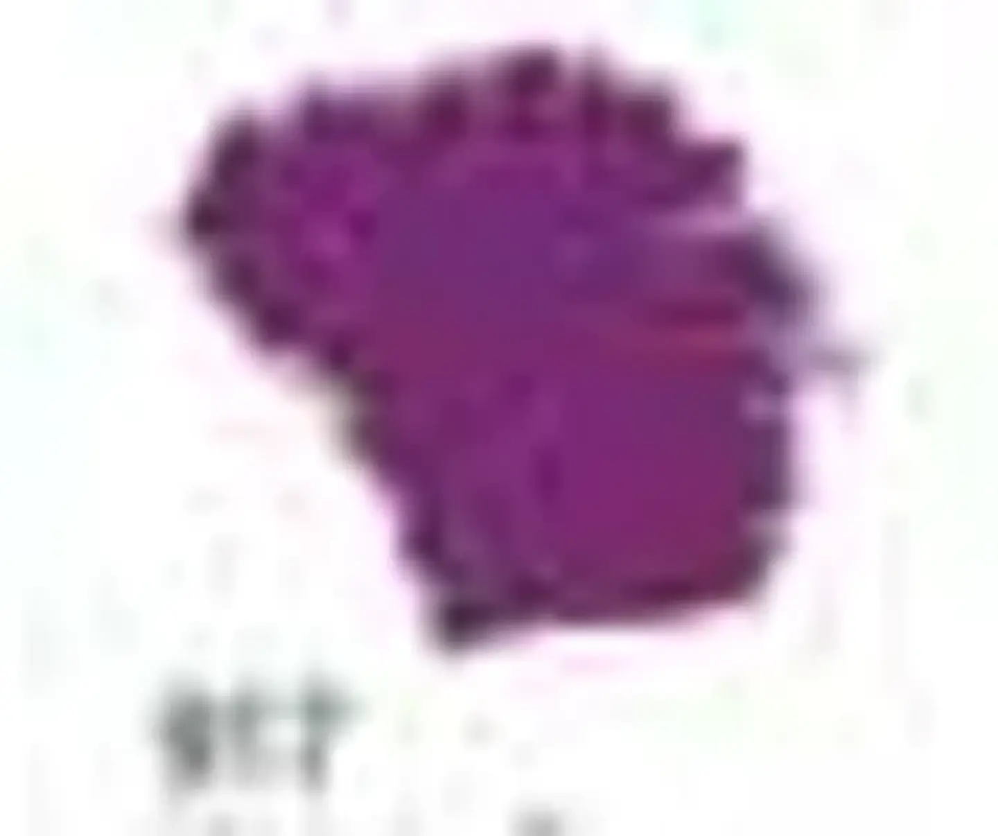 Tinta Acrilex — Violeta Escuro (60 ml) 1