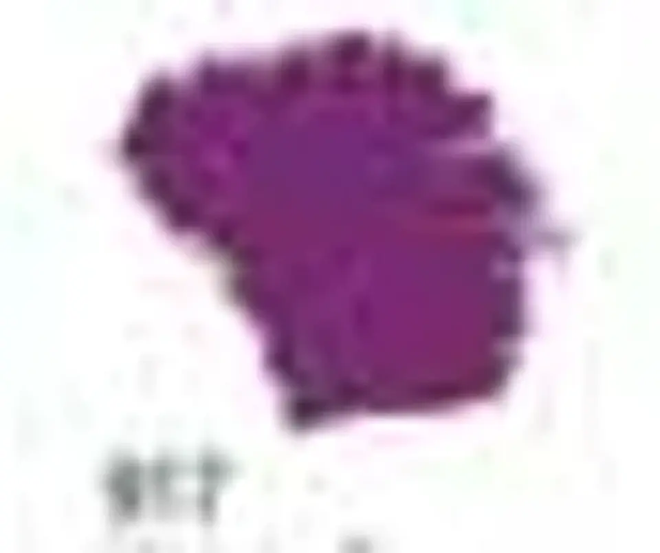 Tinta Acrilex — Violeta Escuro (60 ml) 1