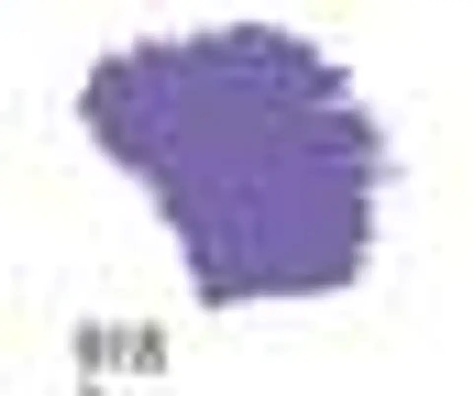 Tinta Acrilex — Roxo (60 ml) 1