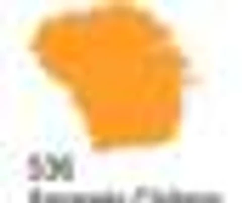 Tinta Acrilex — Amarelo Cádmio (60 ml)