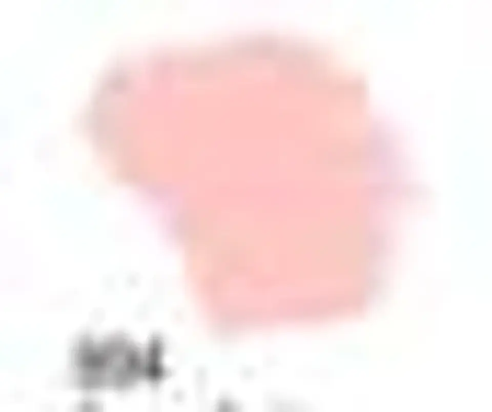 Tinta Acrilex — Rosa Cotton (60 ml) 1
