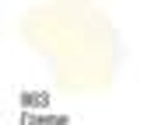 Tinta Acrilex — Creme (60 ml)