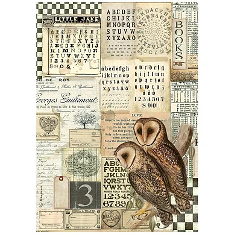 Papel de arroz Stamperia A4 — Alchemy — Owls