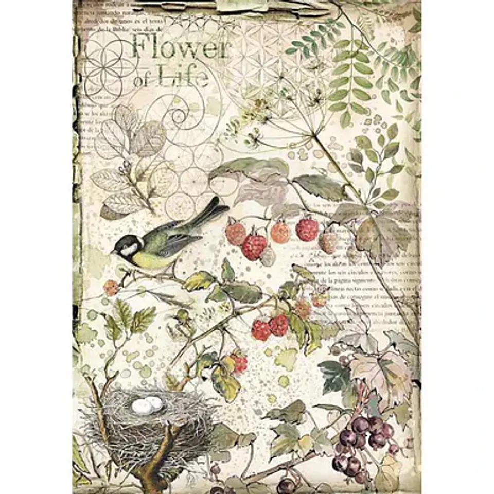 Papel de arroz Stamperia A4 — Forest Flowers and Fruits 1