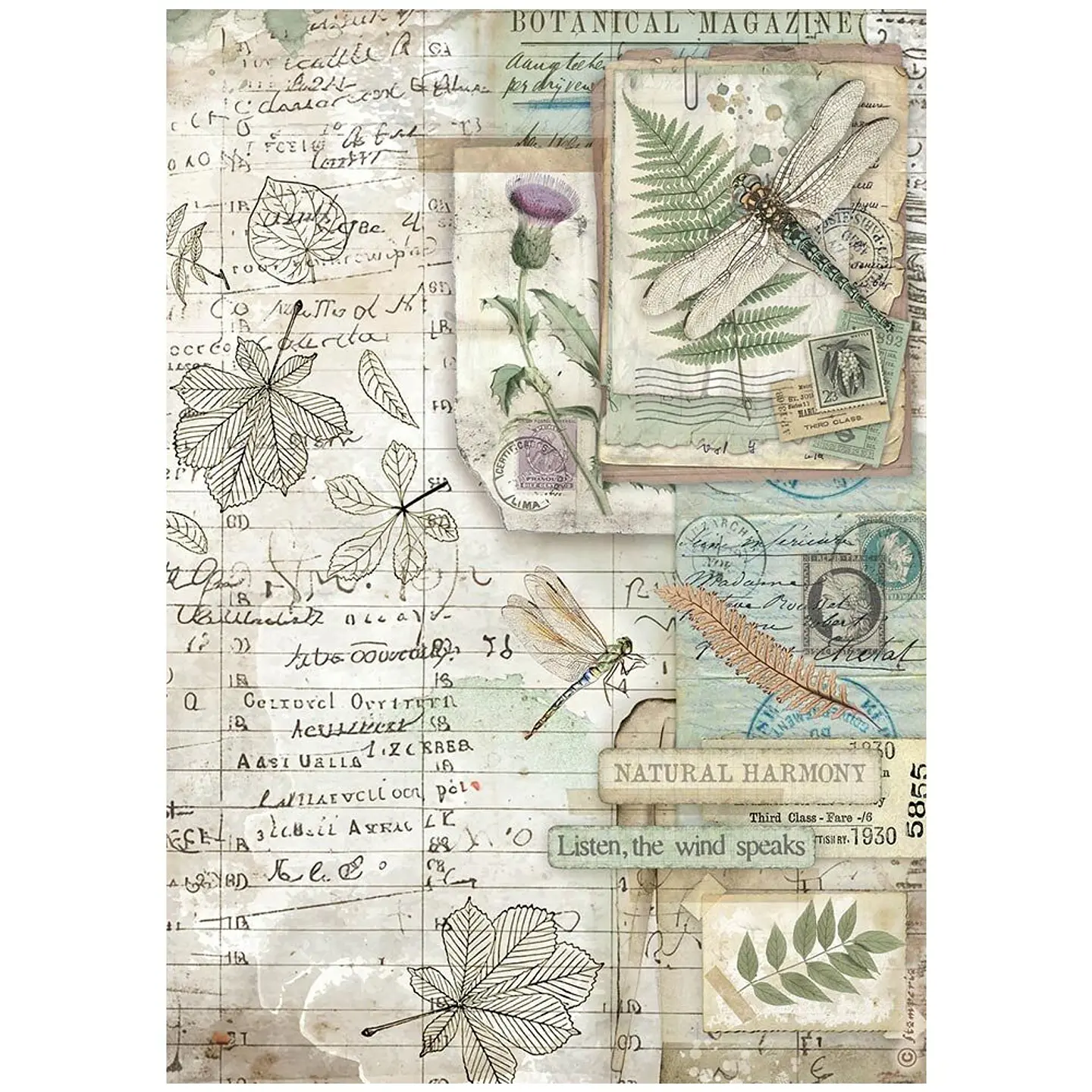 Stamperia Herbarium Silvae — pack de 6 papéis de arroz A4 3