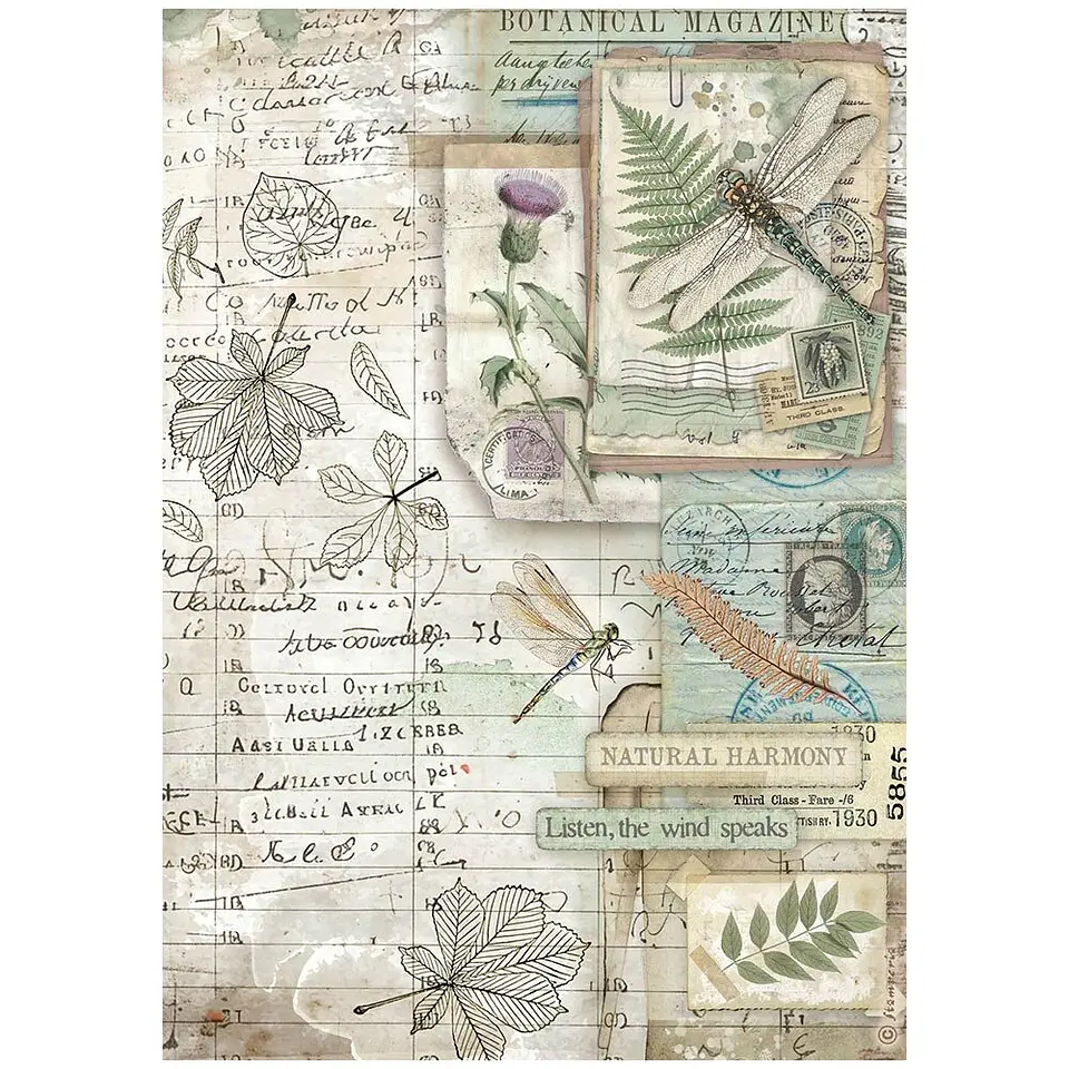 Stamperia Herbarium Silvae — pack de 6 papéis de arroz A4 3