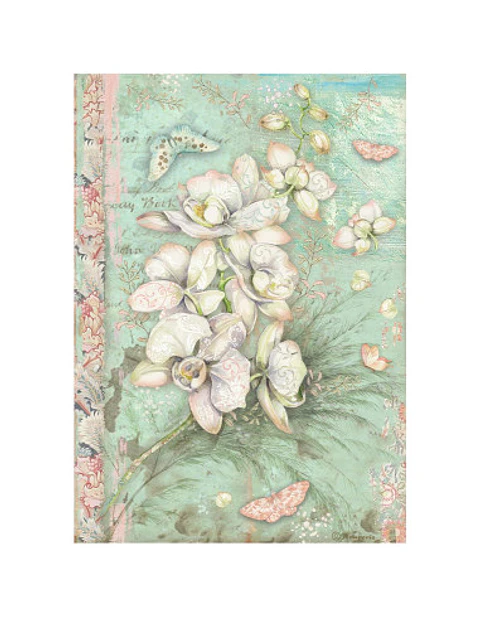 Papel de arroz Stamperia A4 — Orchids and Cats — White Orchid