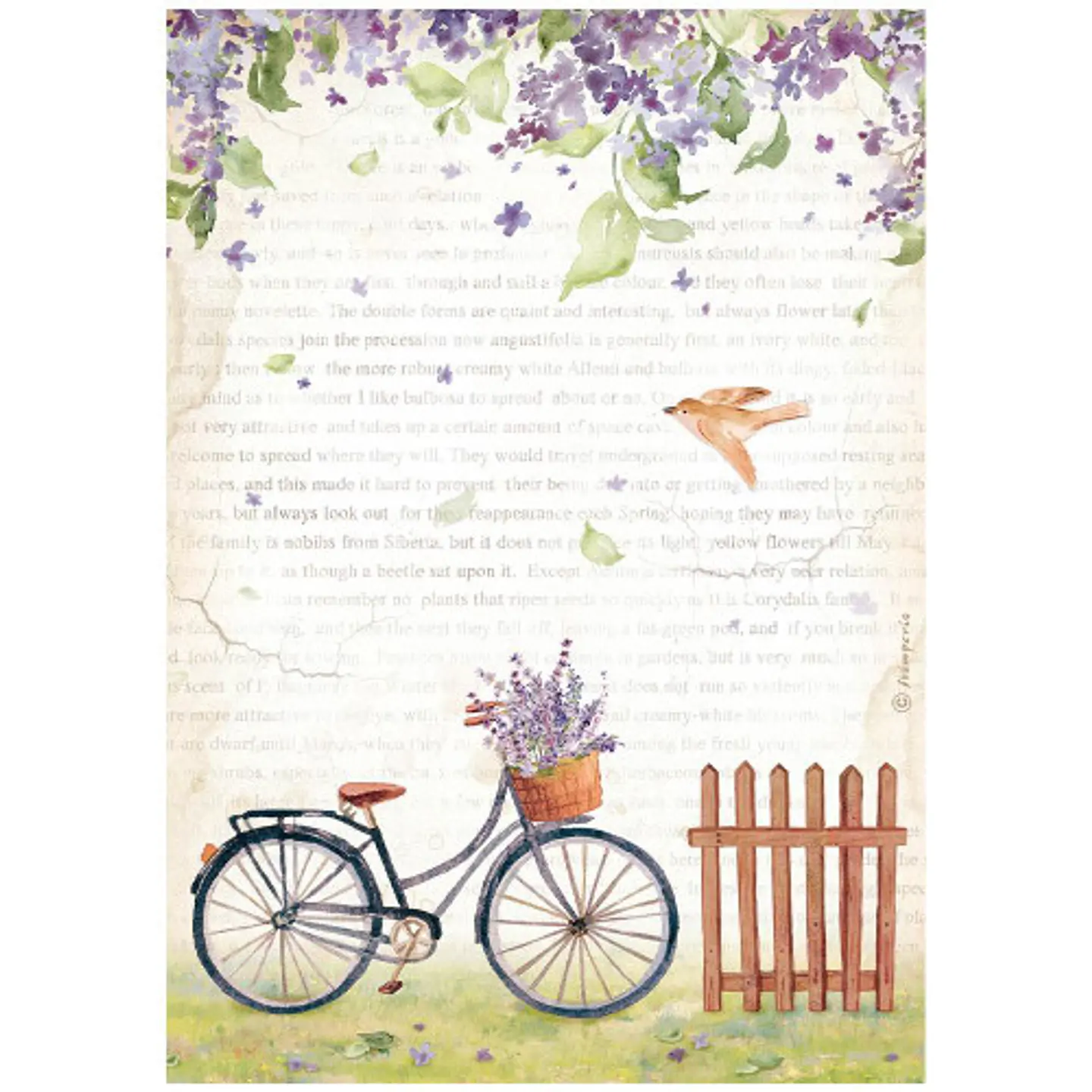 Papel de arroz Stamperia A4 — Create Happiness Welcome Home — Bicycle 1
