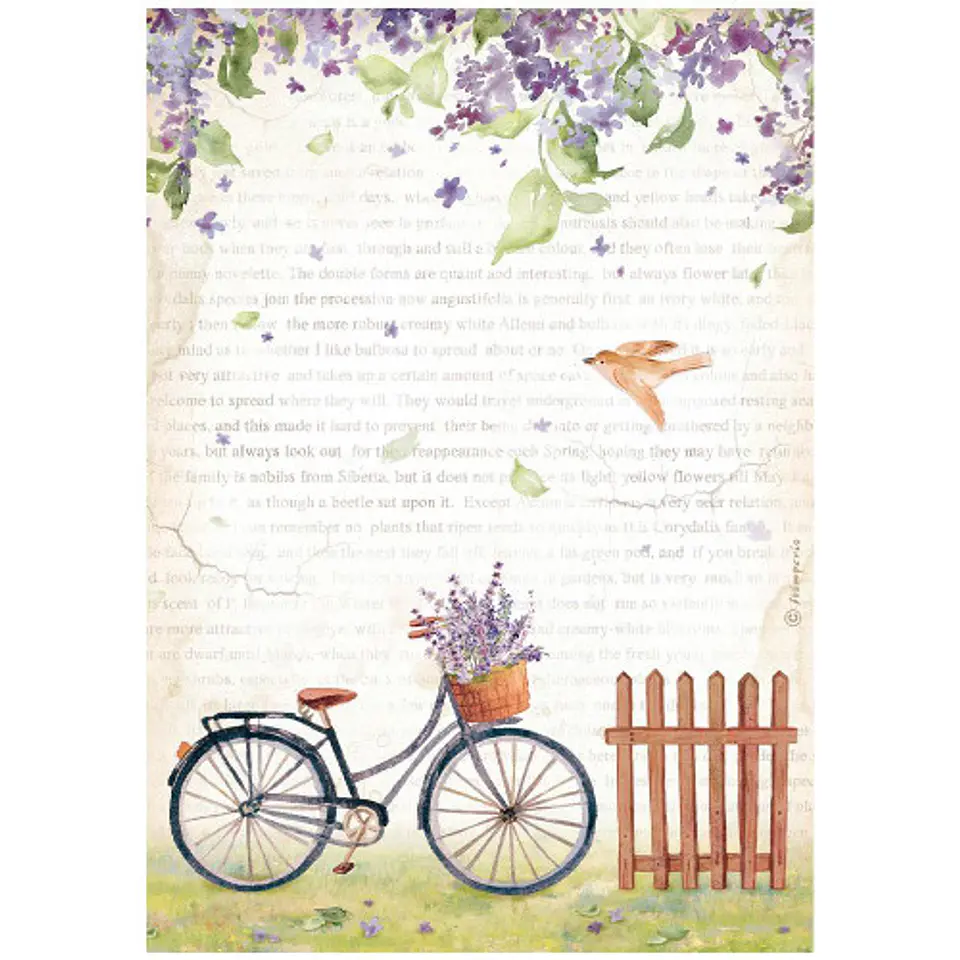 Papel de arroz Stamperia A4 — Create Happiness Welcome Home — Bicycle 1