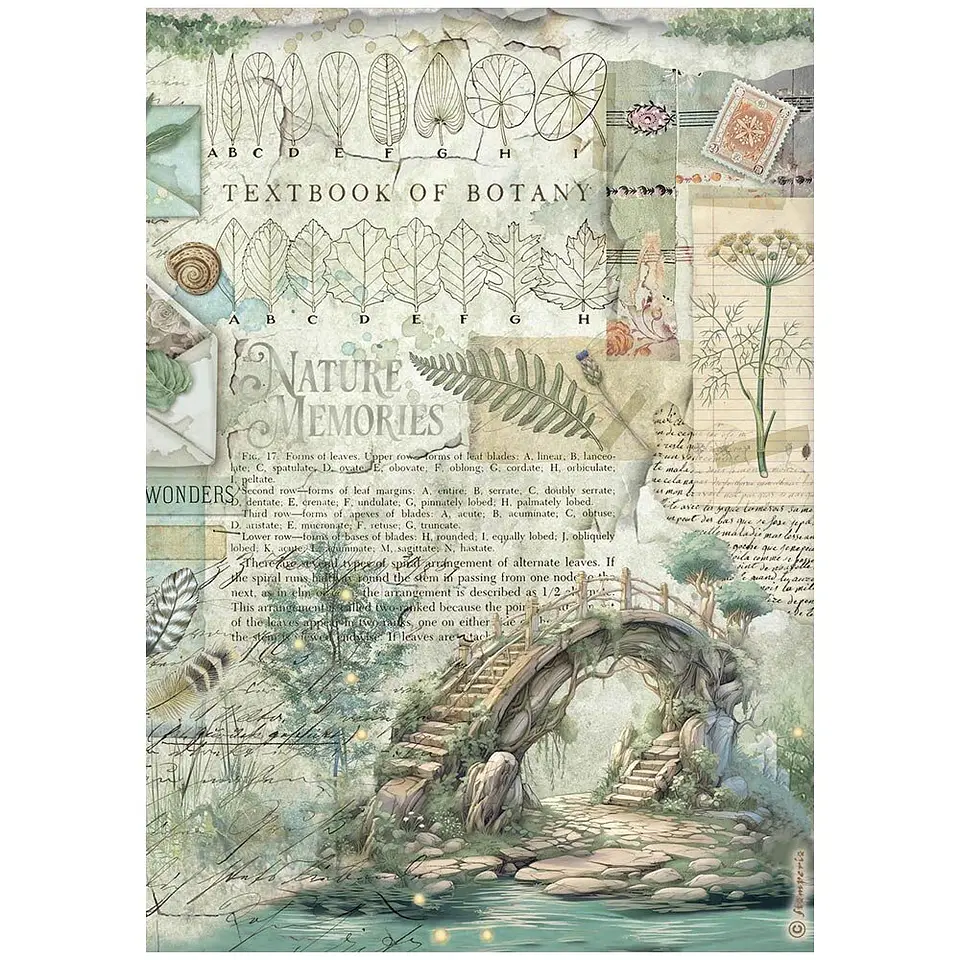 Stamperia Herbarium Silvae — pack de 6 papéis de arroz A4 4