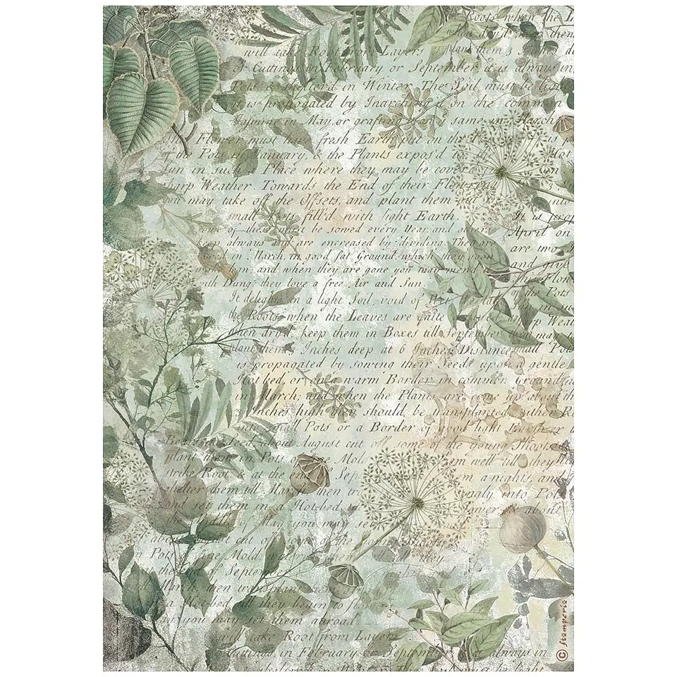 Stamperia Herbarium Silvae — pack de 6 papéis de arroz A4 5