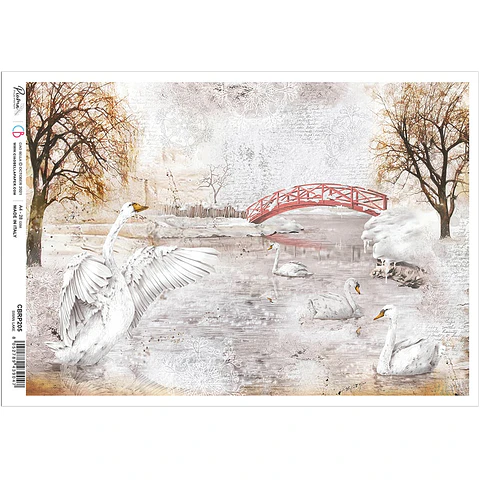 Papel de arroz A4 Ciao Bella — Swan Lake — CBRP205