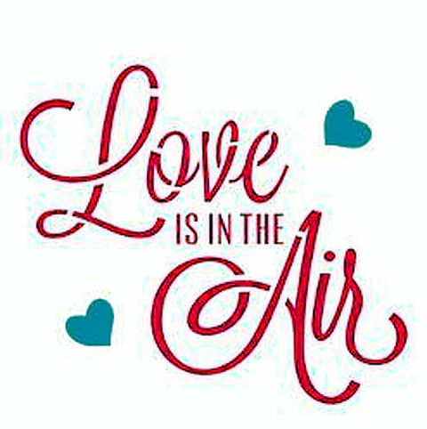 Stencil OPA 2338 — FRASE LOVE IS IN THE AIR