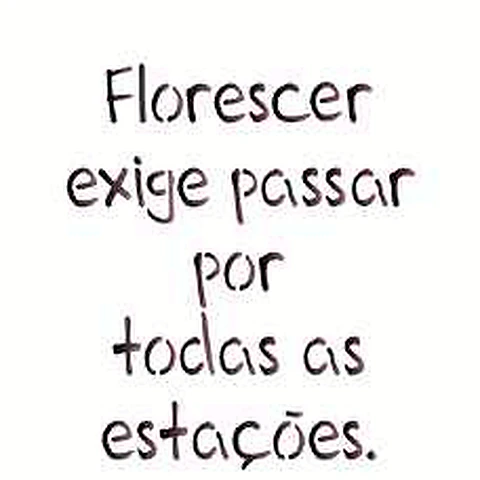Stencil OPA 2215 — FRASE FLORESCER