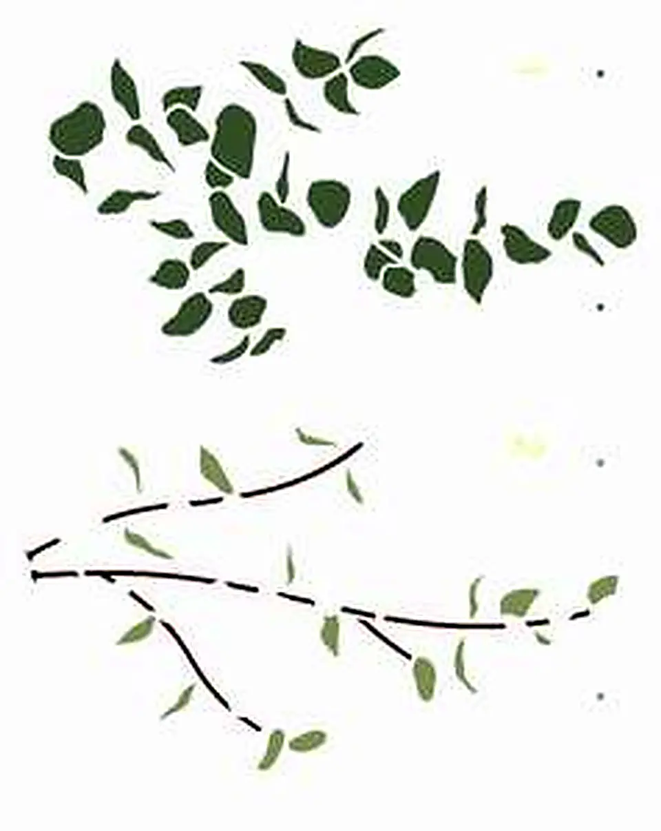 Stencil OPA 3223 — PLANTAS EUCALIPTO 1