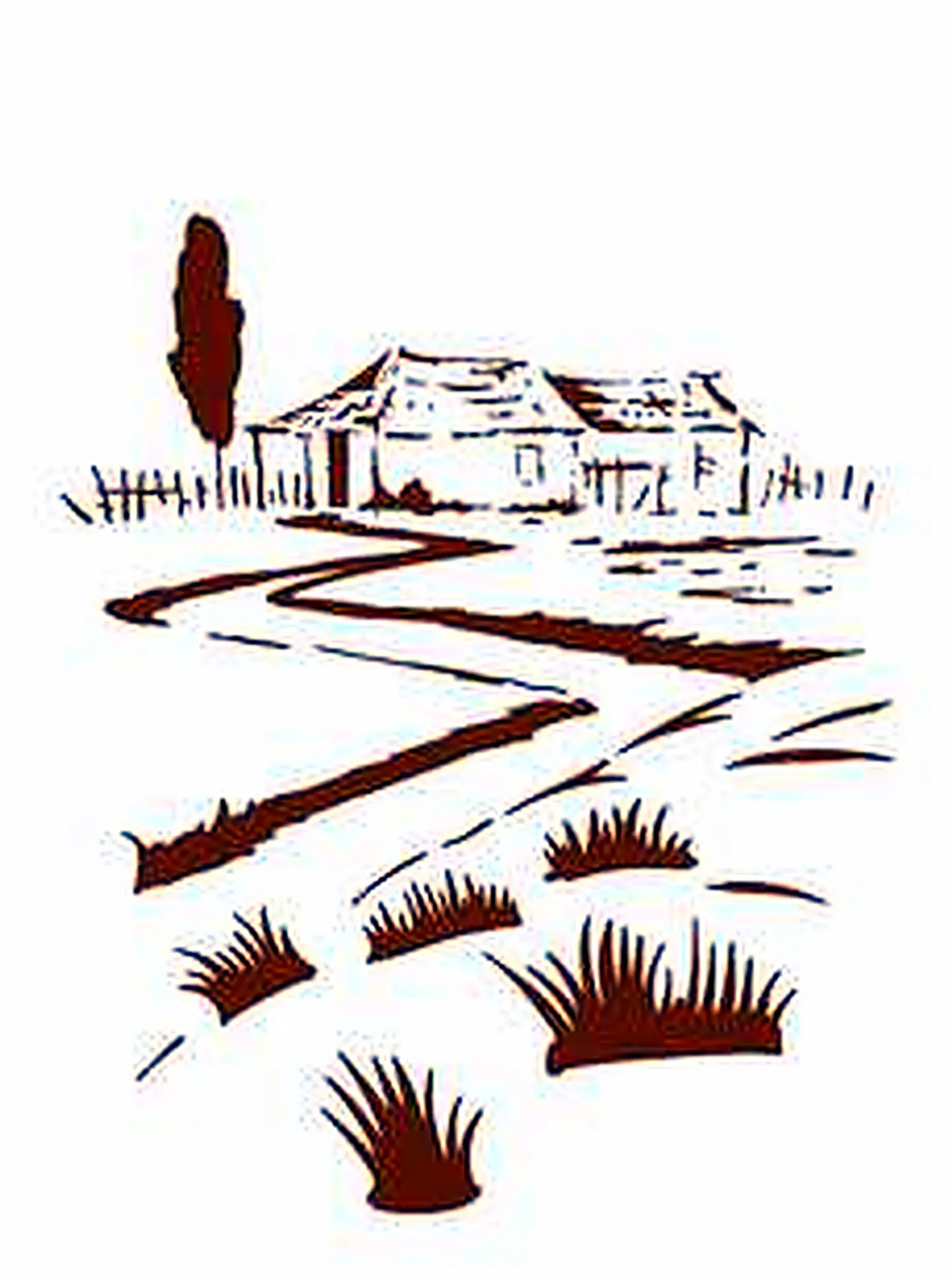 Stencil OPA 2931 — COUNTRY BRASIL CASA II 1