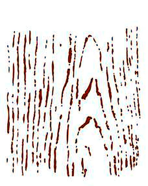 Stencil OPA 1450 — NÓ﻿ DE MADEIRA I