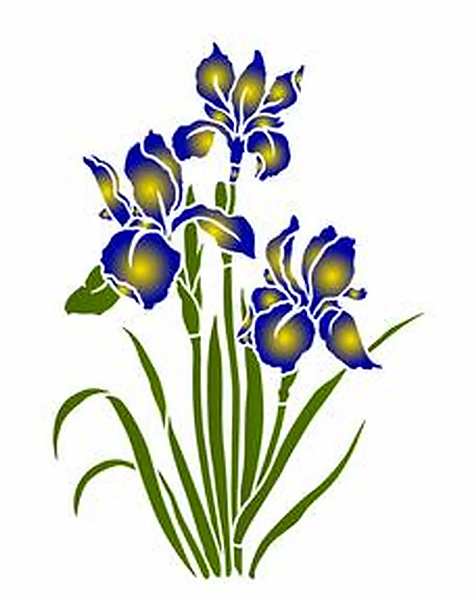 Stencil OPA 3389 — FLOR ÍRIS 1