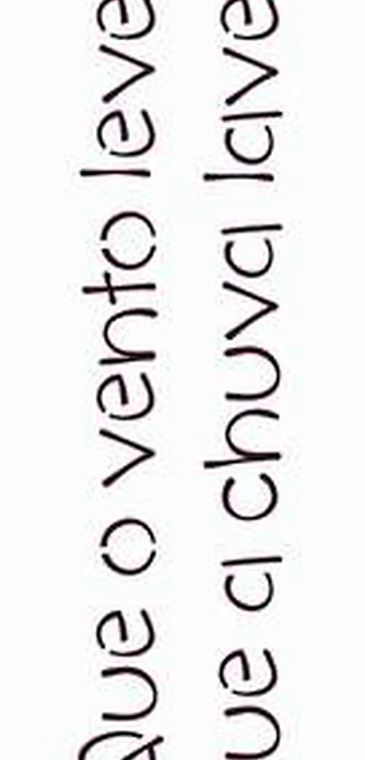 Stencil OPA 2430 — FRASE QUE O VENTO LEVE 1