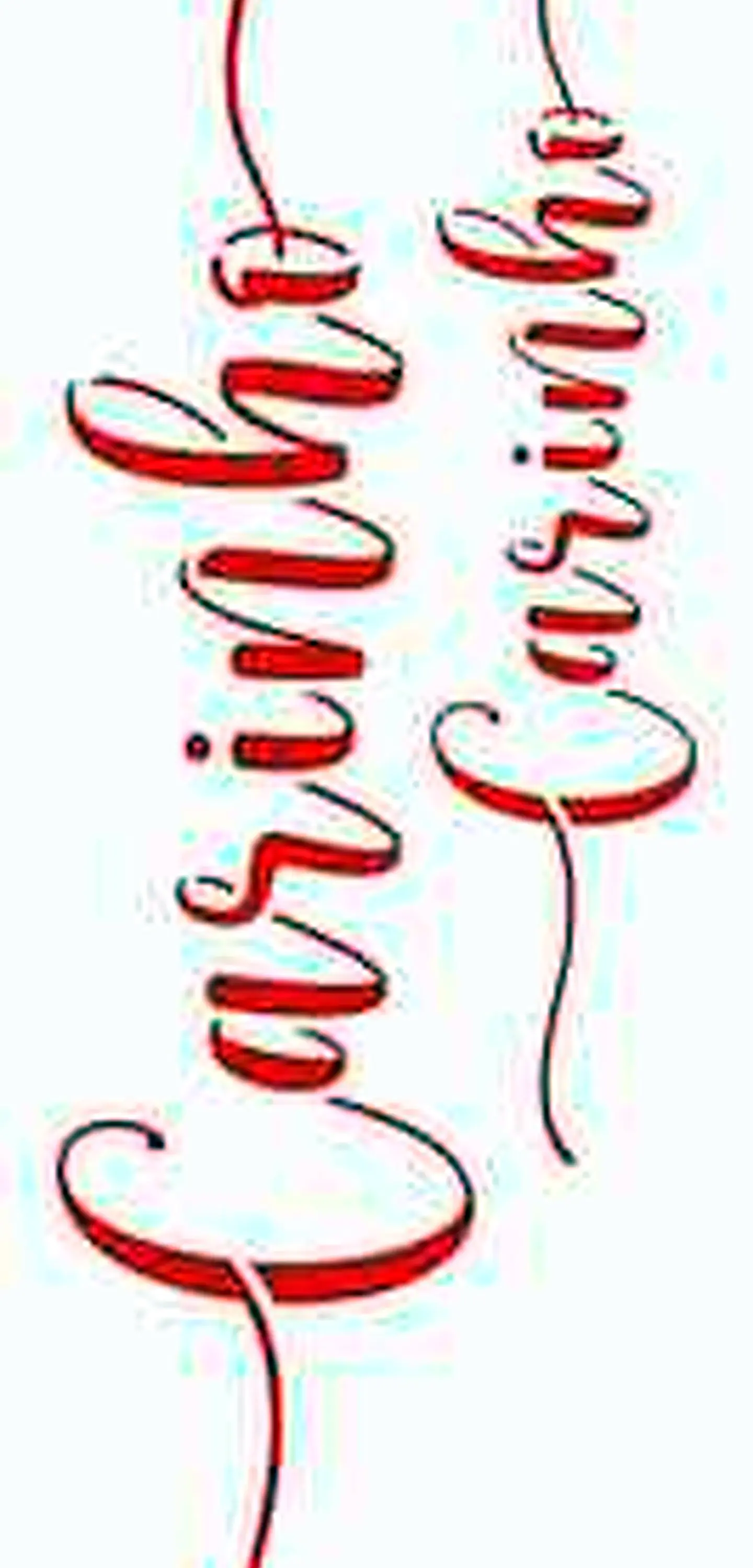 Stencil OPA 3132 — PALAVRAS LETTERING CARINHO 1