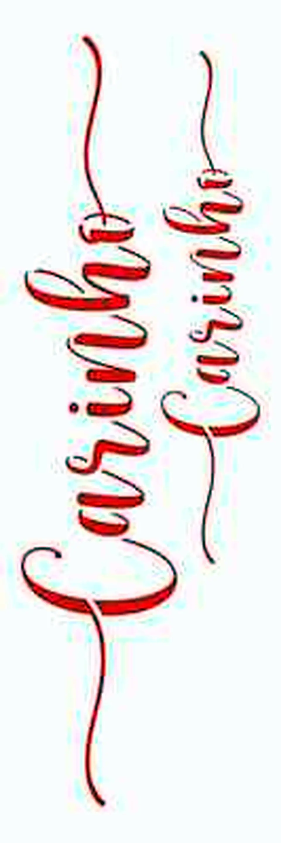 Stencil OPA 3132 — PALAVRAS LETTERING CARINHO 1