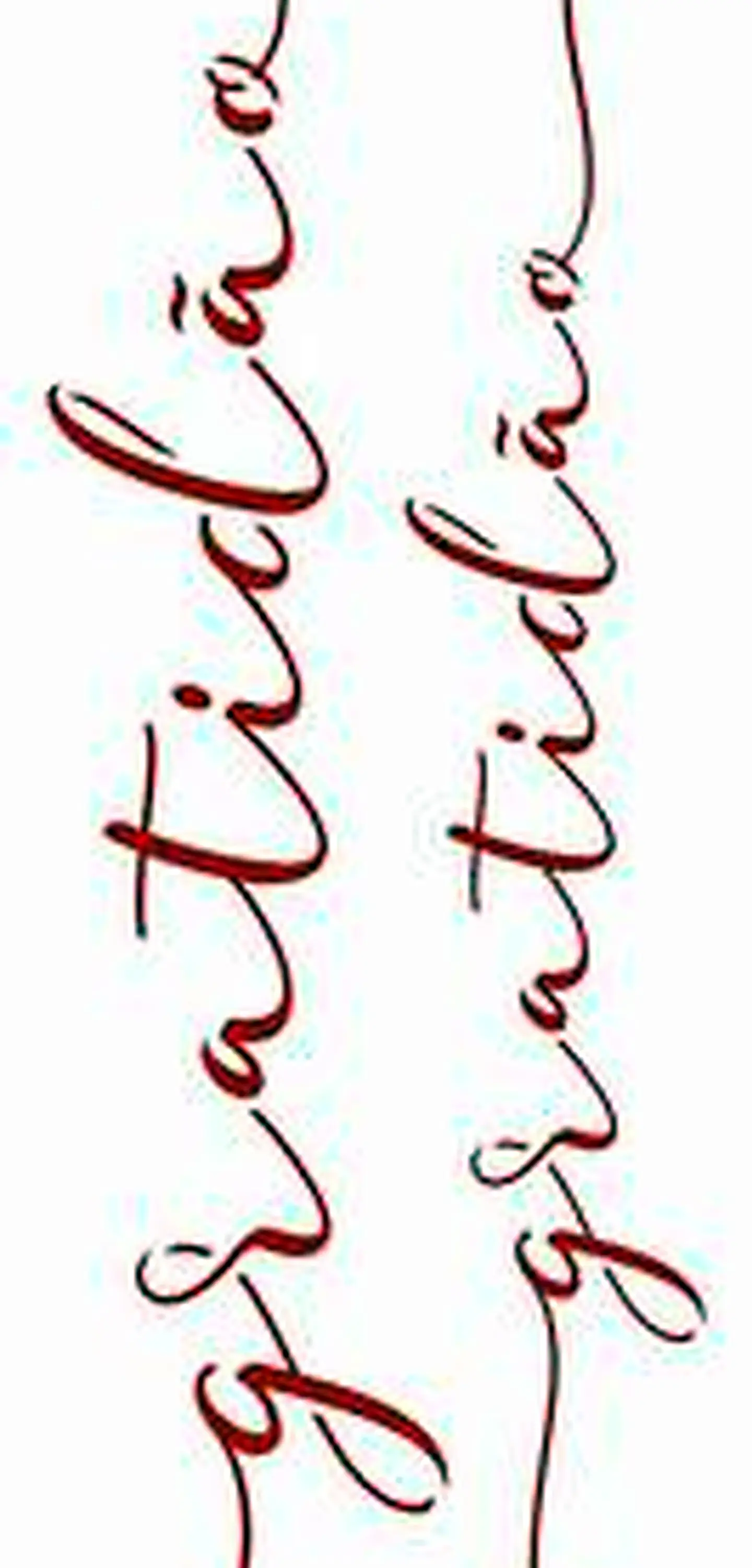 Stencil OPA 3134 — PALAVRAS LETTERING GRATIDÃO 1