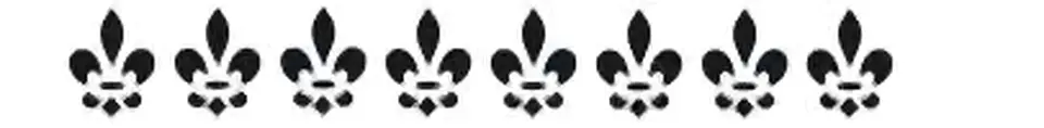 Stencil OPA 448 — CORAÇÕES BORDA FLOR DE LIZ 1