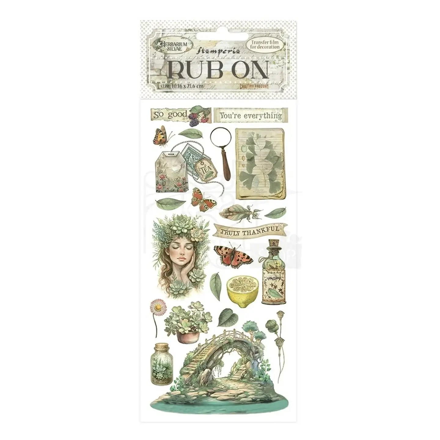 Rub-on Stamperia — Herbarium Silvae — Bridge 1