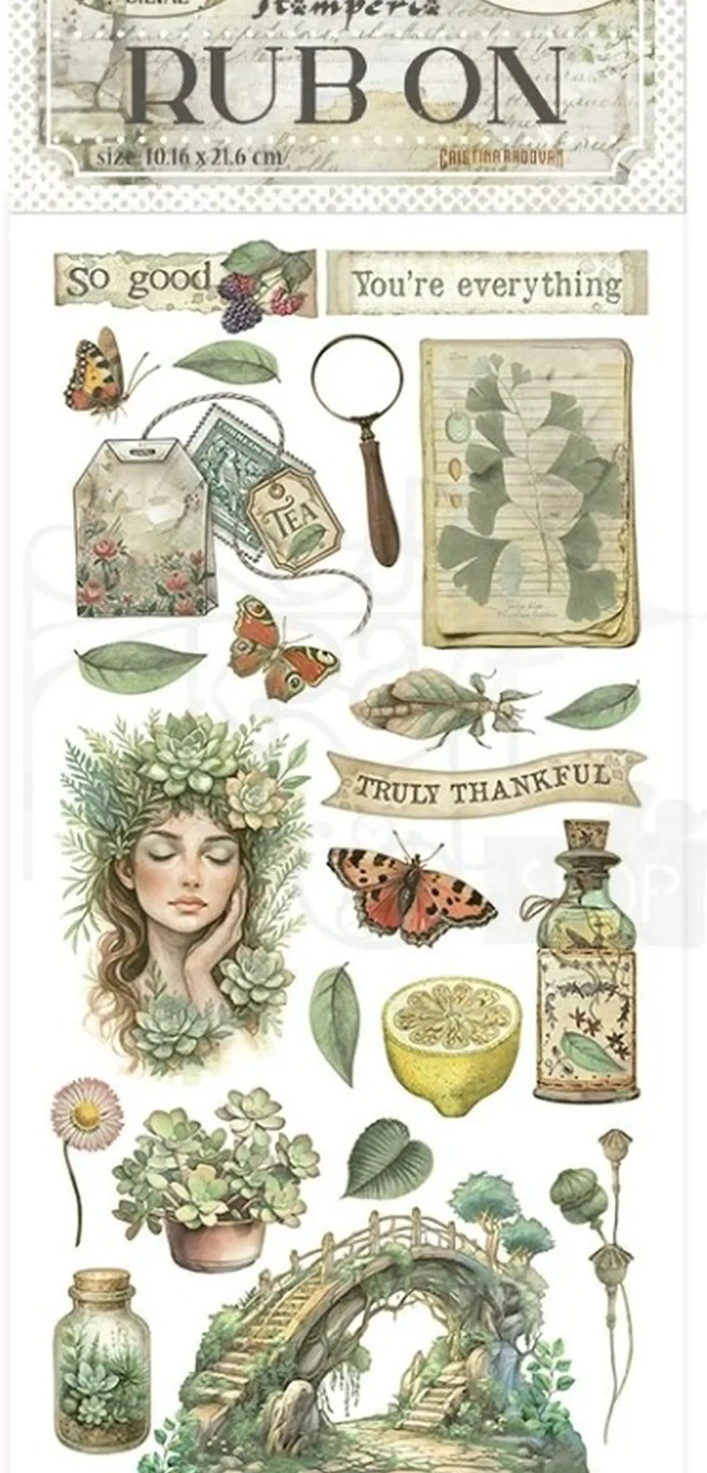 Rub-on Stamperia — Herbarium Silvae — Bridge 2