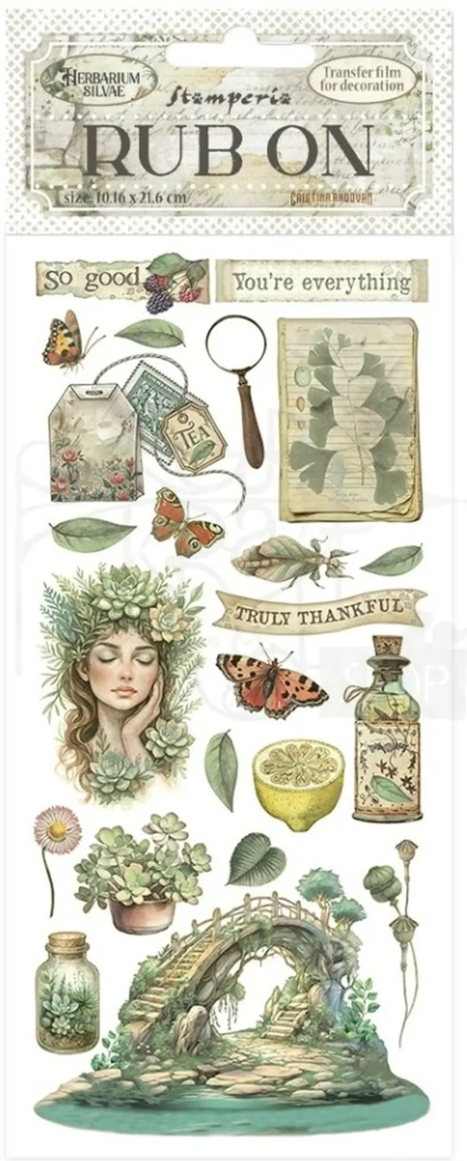 Rub-on Stamperia — Herbarium Silvae — Bridge 2