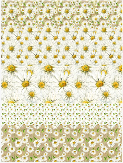 Lâmina de Seda La Tiendita Shabby Chic – MARGARITAS 3 – 70×50 cm