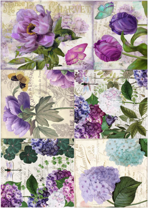 Lâmina de Seda La Tiendita Shabby Chic – VSN 24 – 70×50 cm