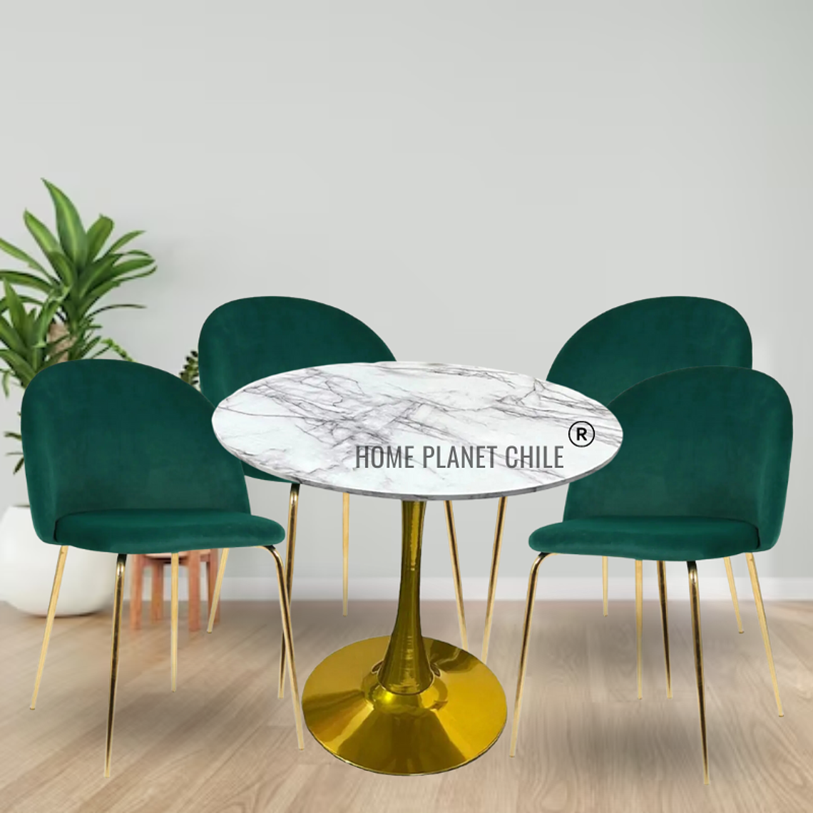 Comedor Mersin redondo blanco 100 cm con 4 Sillas breda gold 2