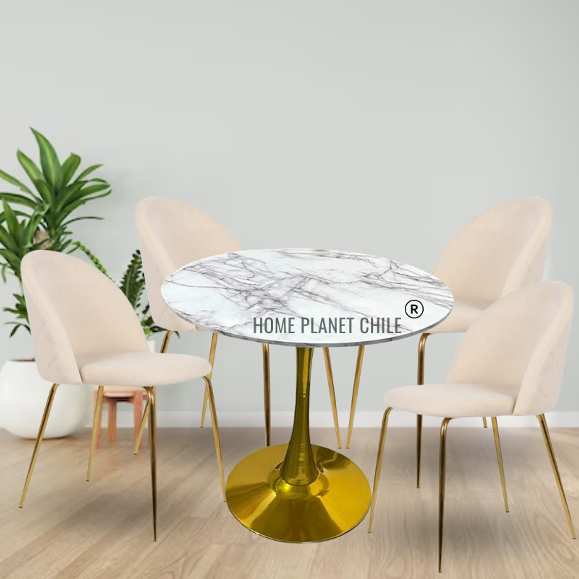 Comedor Mersin redondo blanco 100 cm con 4 Sillas breda gold 1