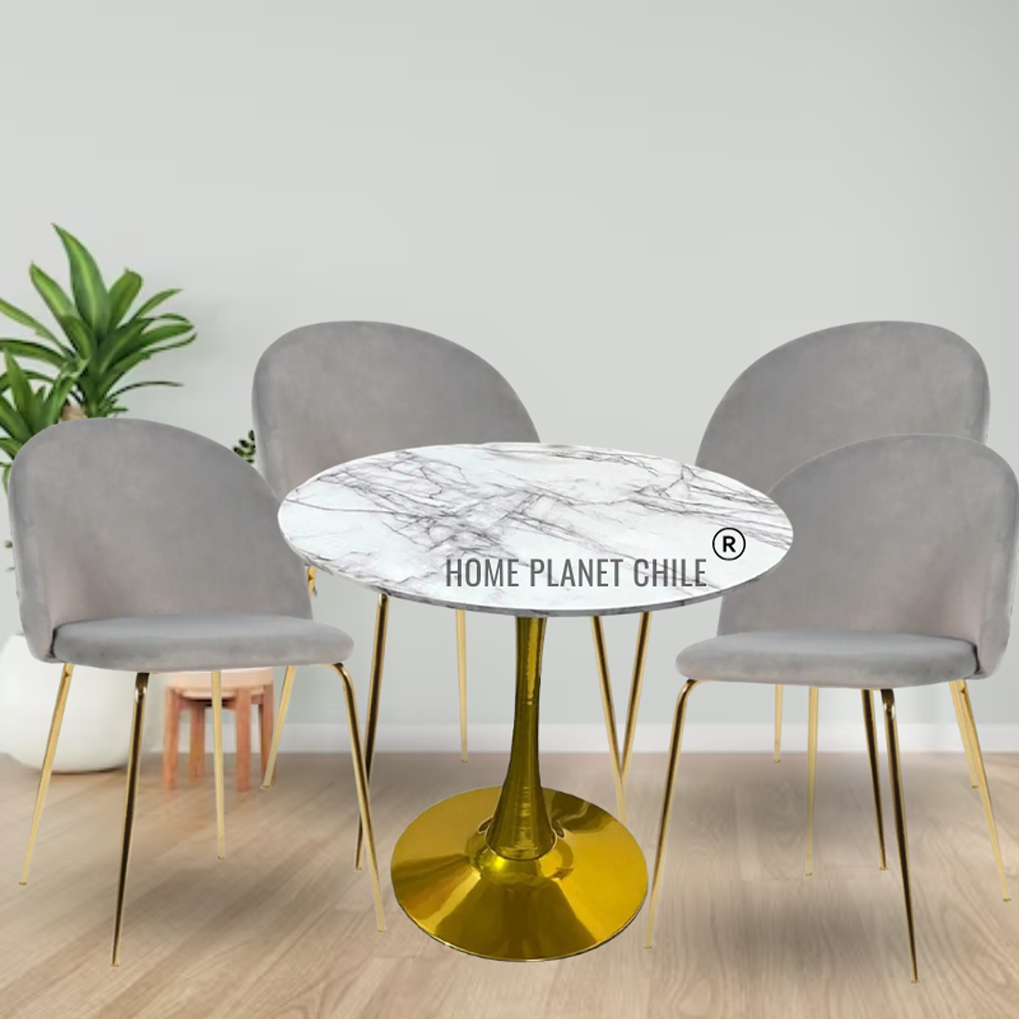 Comedor Mersin redondo blanco 100 cm con 4 Sillas breda gold 4