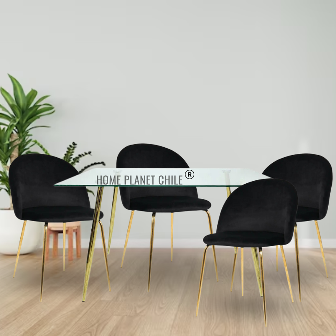 Comedor Breda Gold rectangular 130x80 cm con 4 Sillas breda gold velvet 3