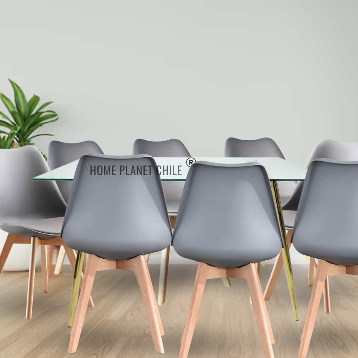 Comedor Buzios Gold rectangular vidrio 160x90 cm con 8 Sillas Tulip 3