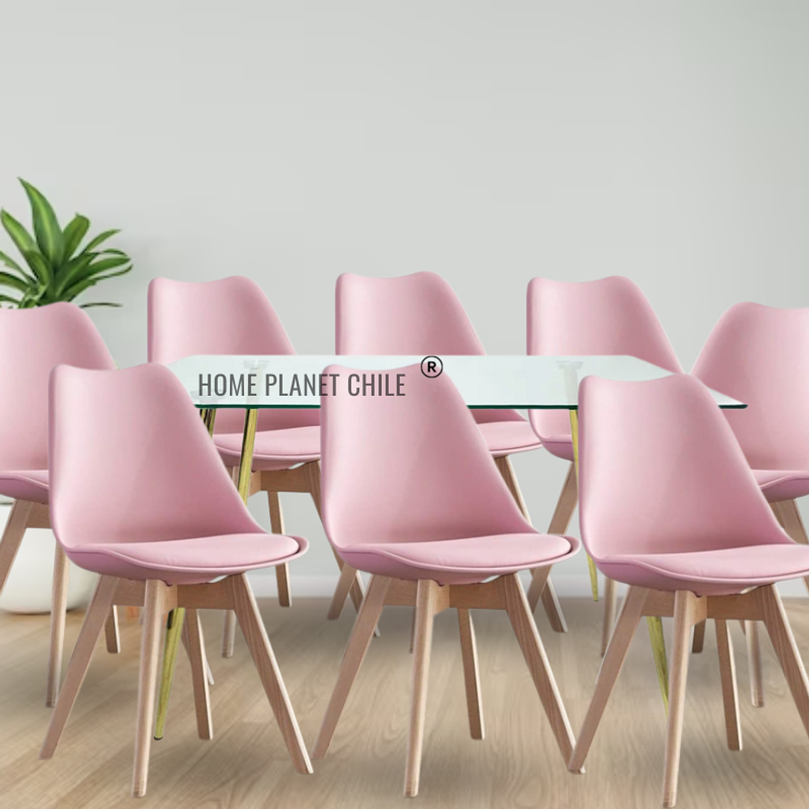 Comedor Buzios Gold rectangular vidrio 160x90 cm con 8 Sillas Tulip 4