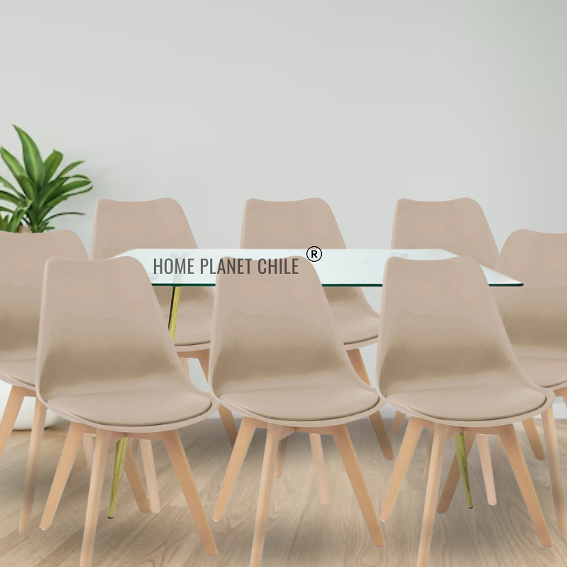 Comedor Buzios Gold rectangular vidrio 160x90 cm con 8 Sillas Tulip 7